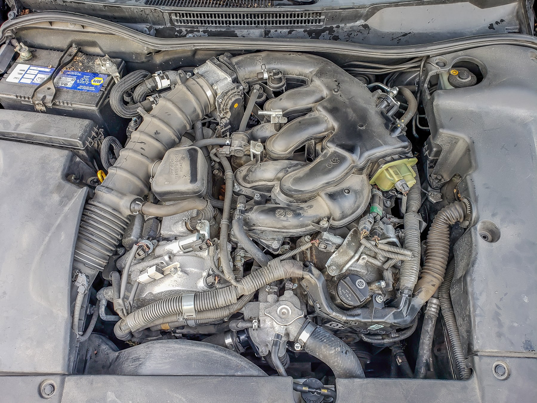 lexus waterpump-151610 2008 Lexus IS250 Water Pump Replacement
