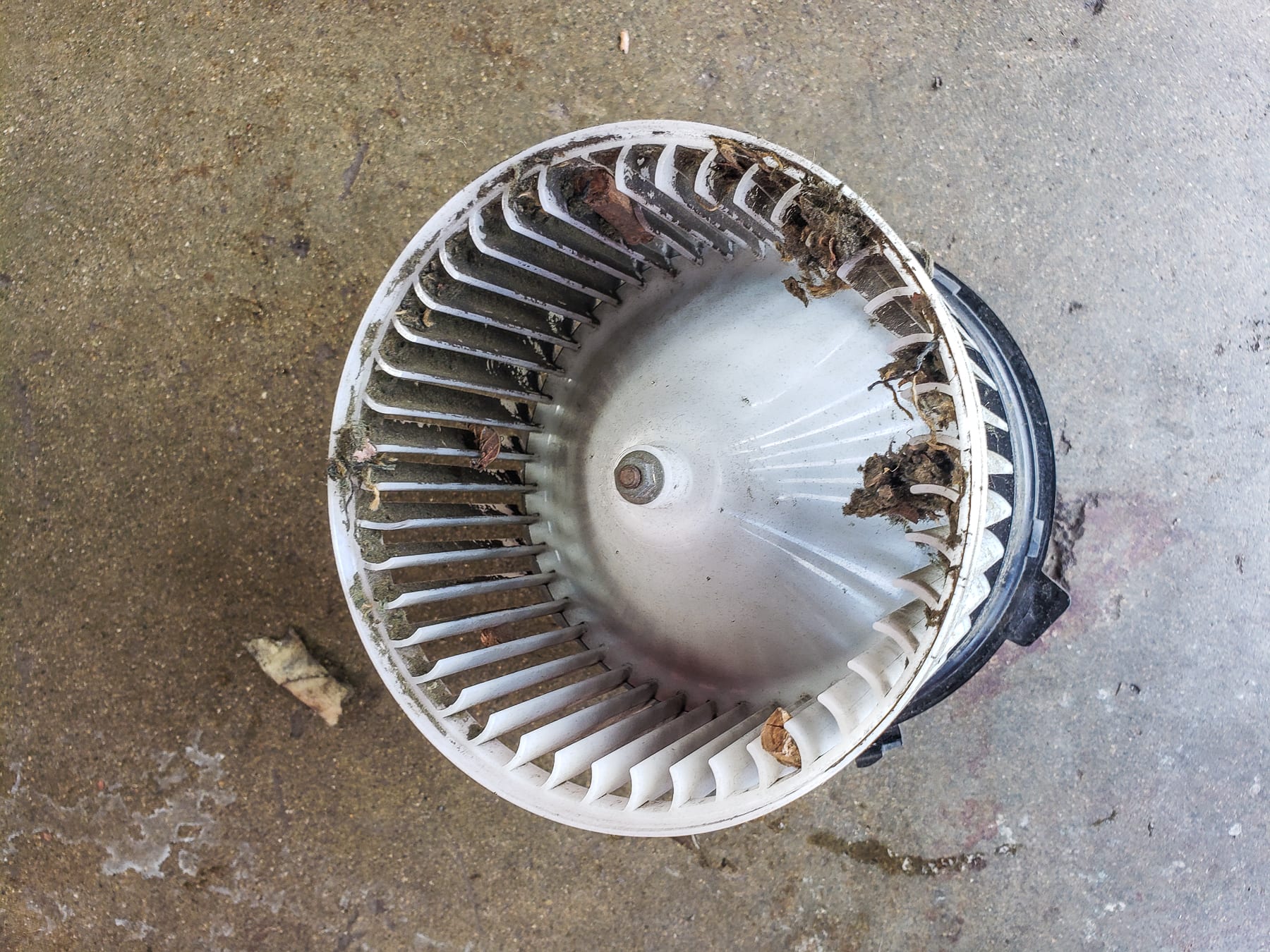 08 Nissan Sentra-161012 2007 Nissan Sentra Heater Blower Motor Replacement