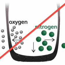 Nitrogen Tires inflation: Is it Worth it? Skip nitrogen filling your tires
