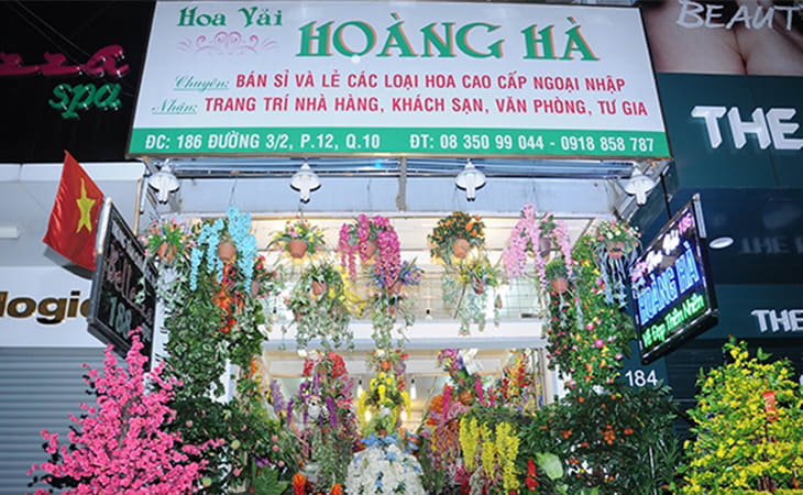 cây cảnh giả quận 10