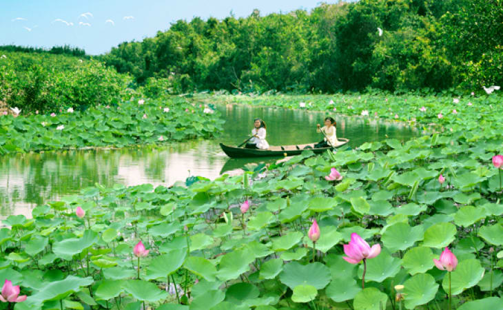 5. Khu du lịch Gáo Giồng - Đồng Tháp