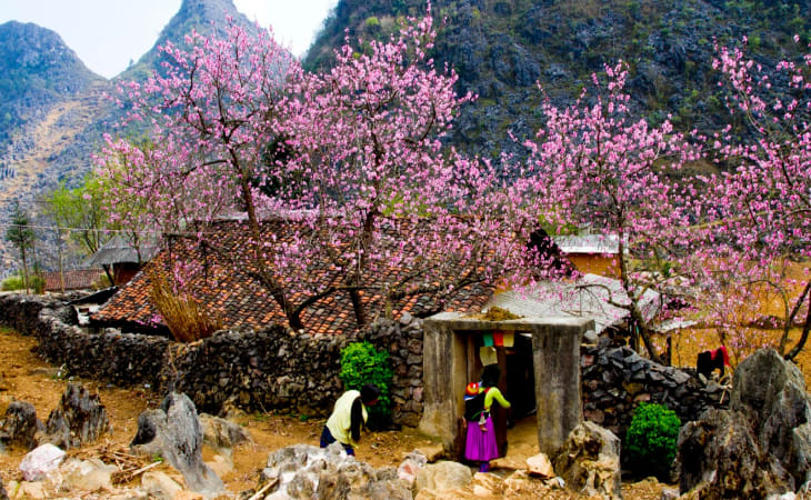 Đi Sapa vào mùa xuân