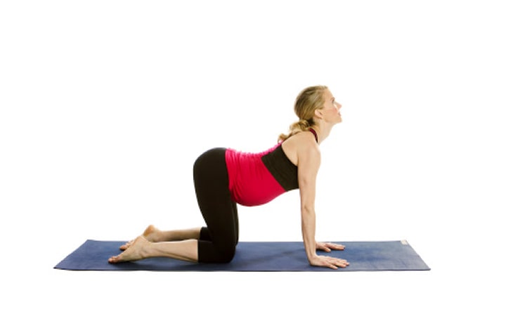 Bài tập yoga cho bà bầu kiểu con bò-mèo