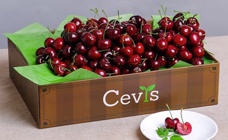 Công ty xuất nhập khẩu trái cây Cevis