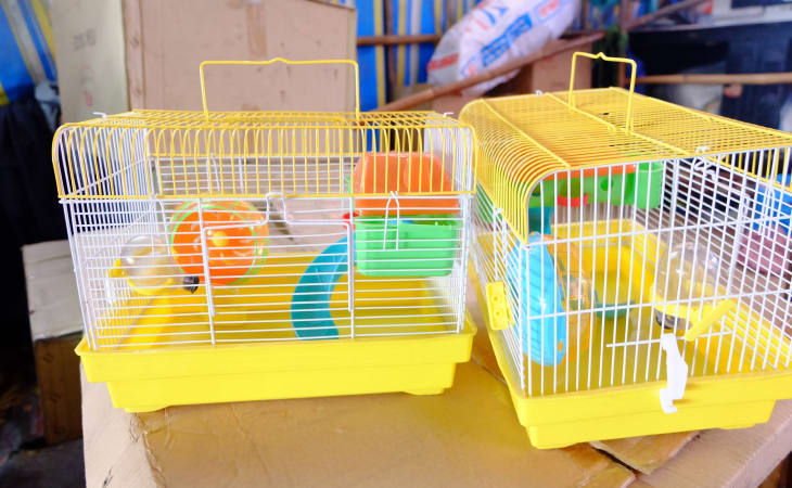 Chuồng hamster rất đa dạng