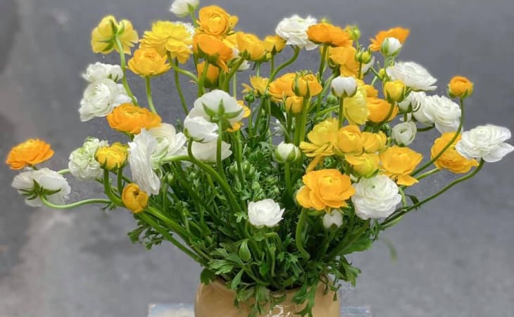 May Flower Florist