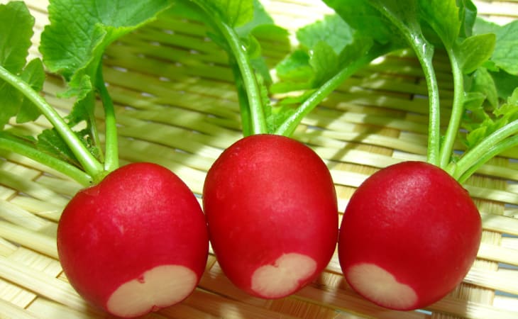 củ cải đường