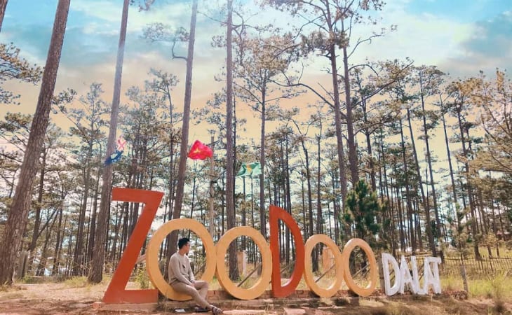 Vườn thú Zoodoo