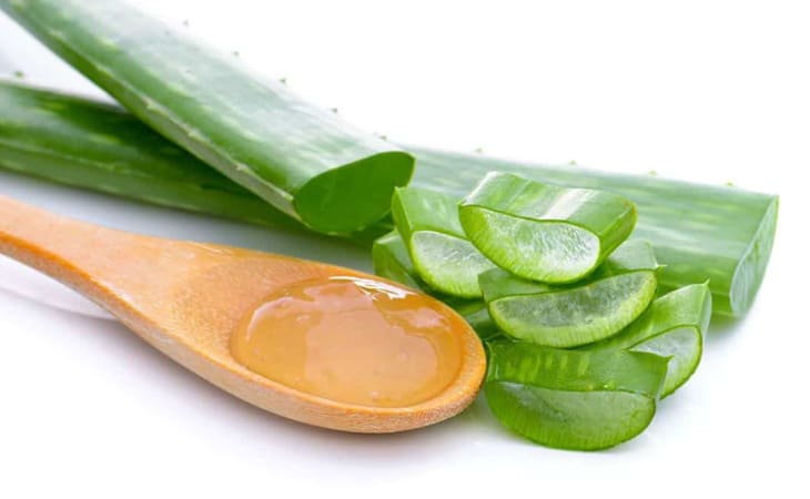 Dưỡng da ban đêm bằng nha đam