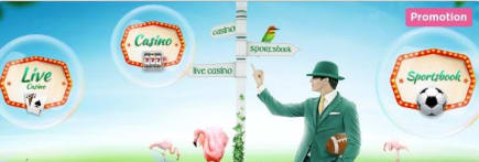 Are you ready for new and incredible bonuses?