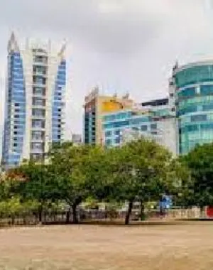 vashi escorts Escorts