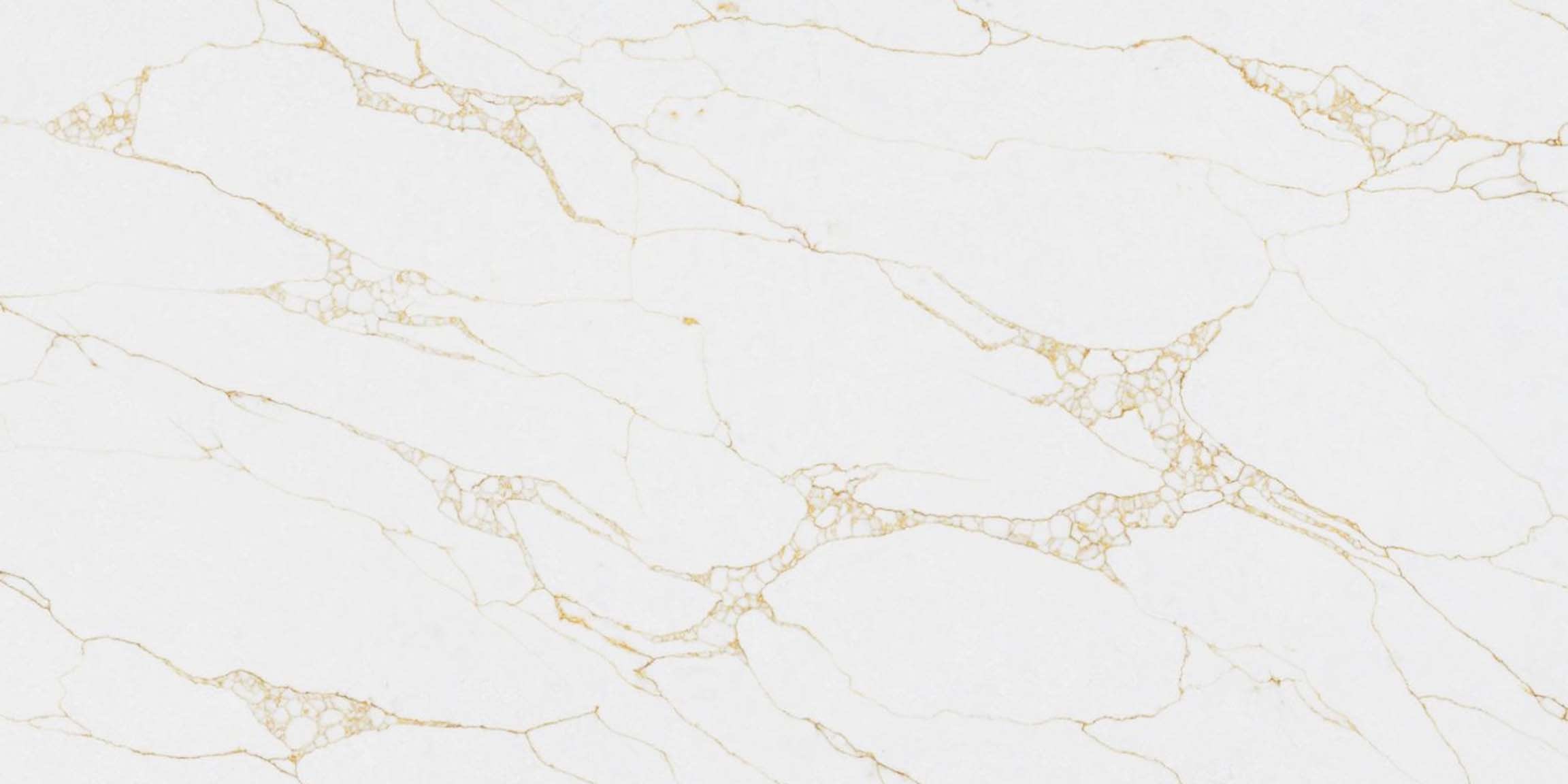 Countertop material with name Calacatta Naples of type Quartz.