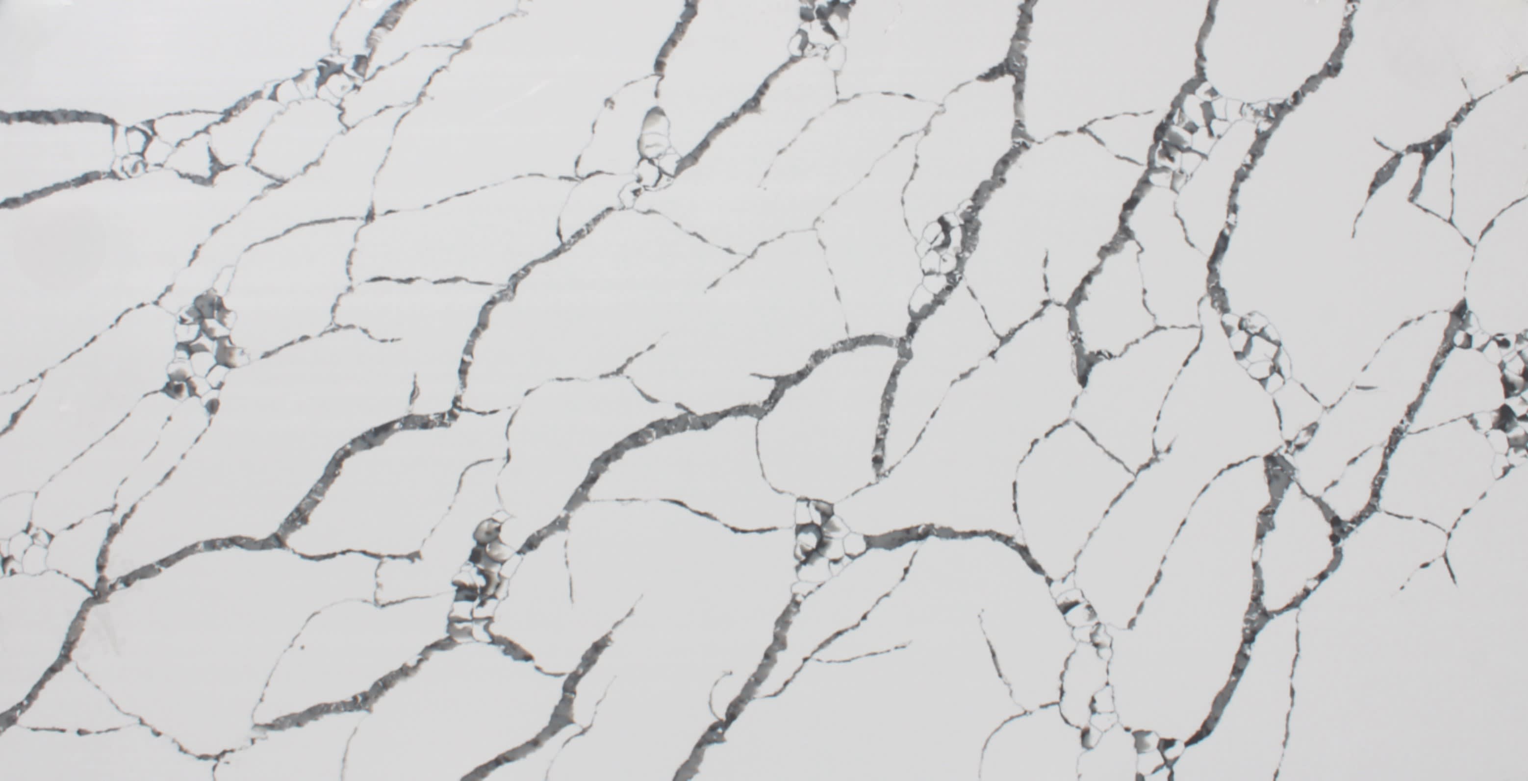 Countertop material with name Calacatta Dante of type Quartz.