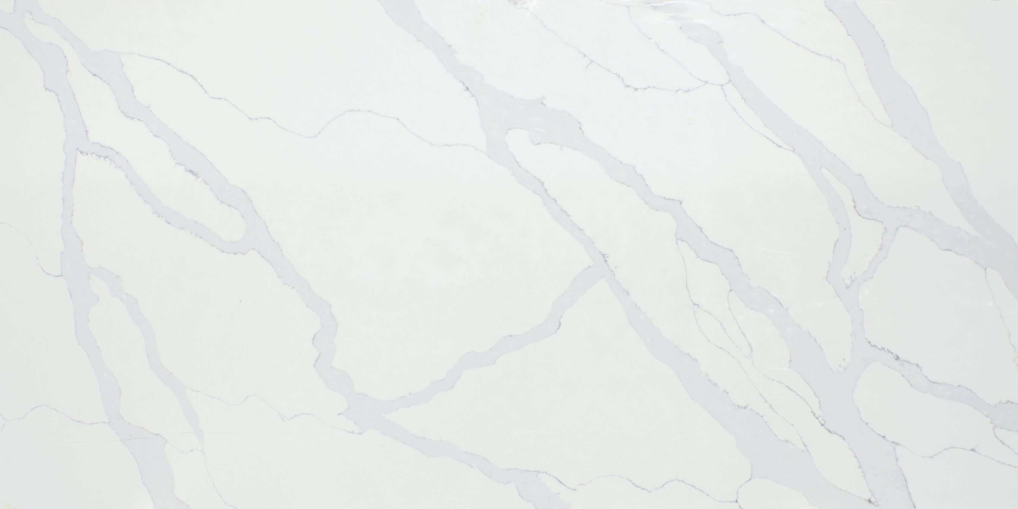 Countertop material with name Calacatta Molano of type Quartz.