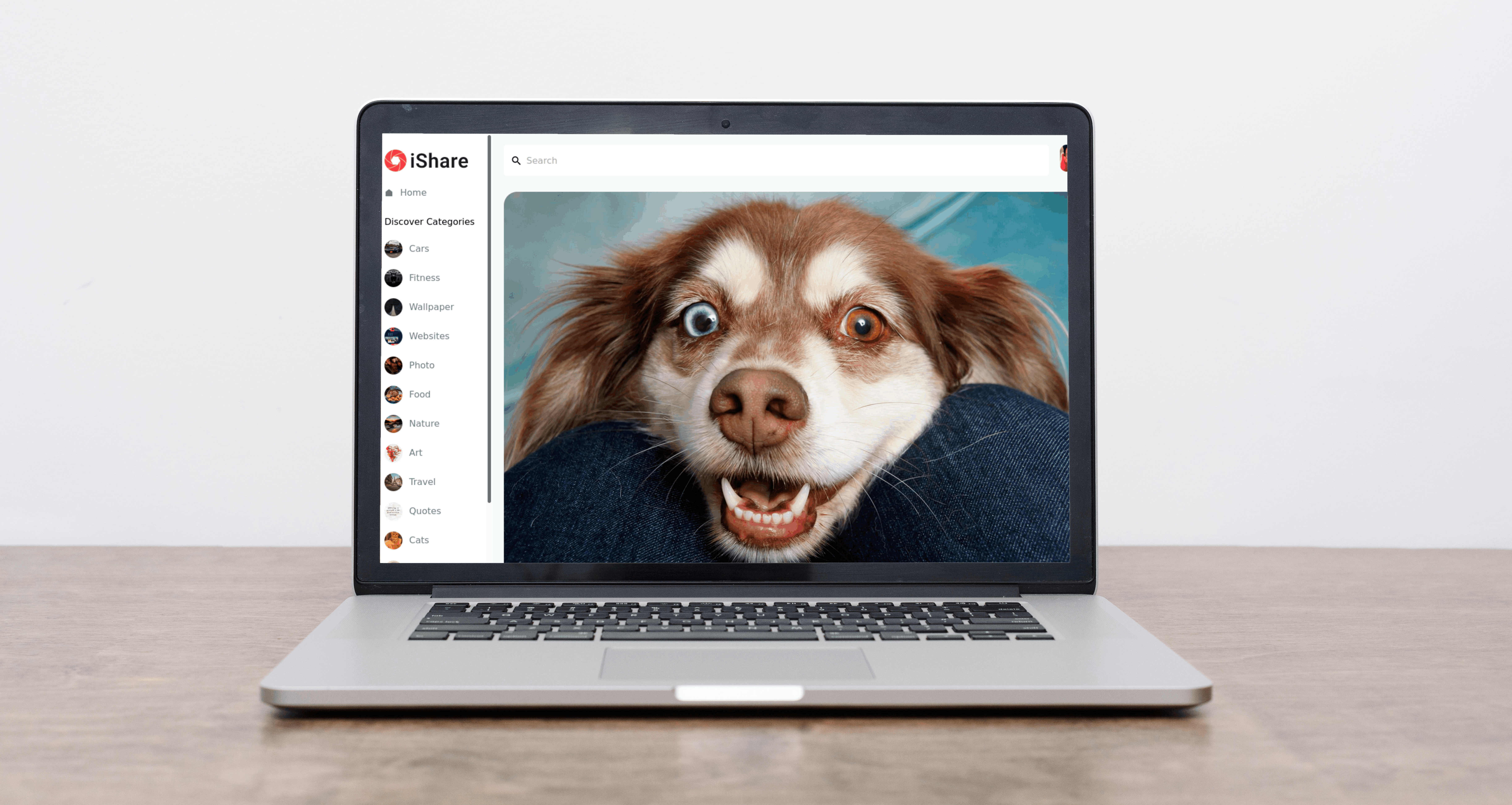 Social Media App with Saniy.io and React