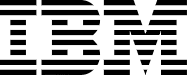 company logo IBM