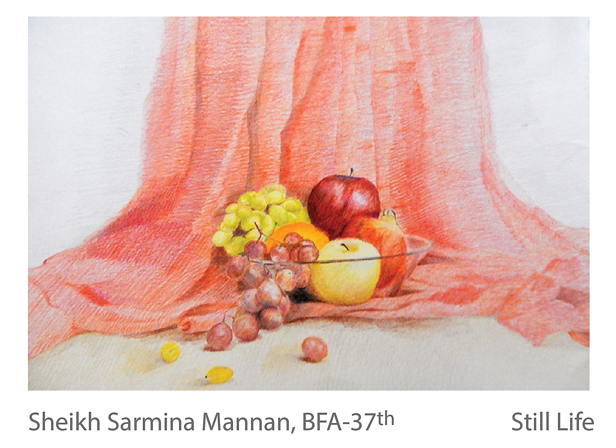 Still Life - Sheikh Sharmina Mannan