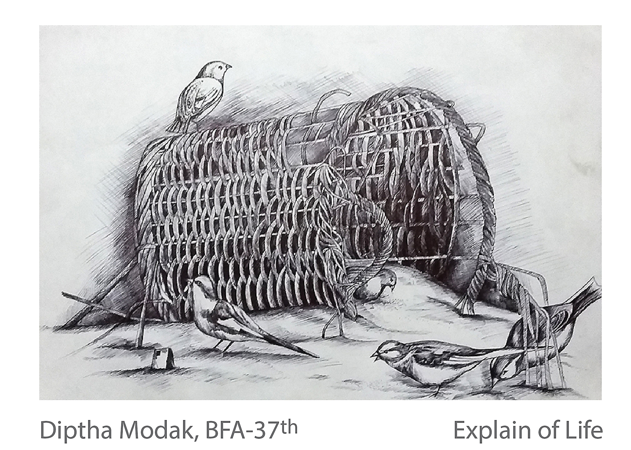Explain of Life - Diptha Modak