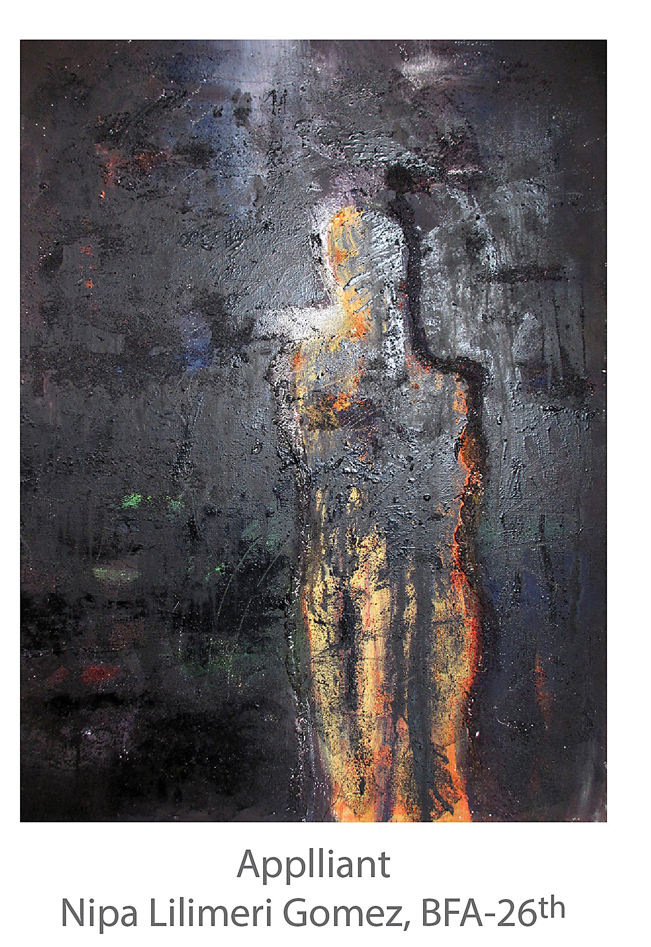 Applliant - Nipa Lilimeri Gomez