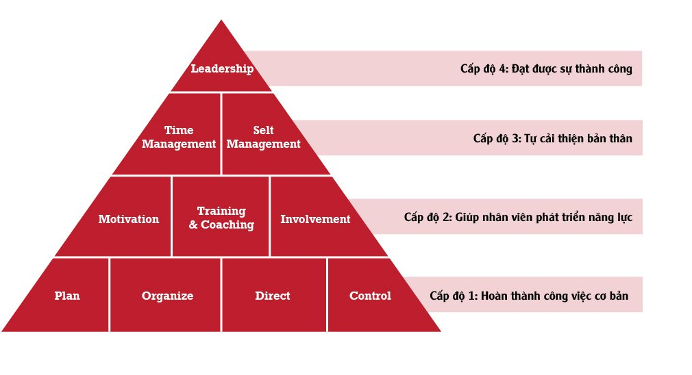 Mô hình kim tự tháp ngược trong quản lý doanh nghiệp  marketing