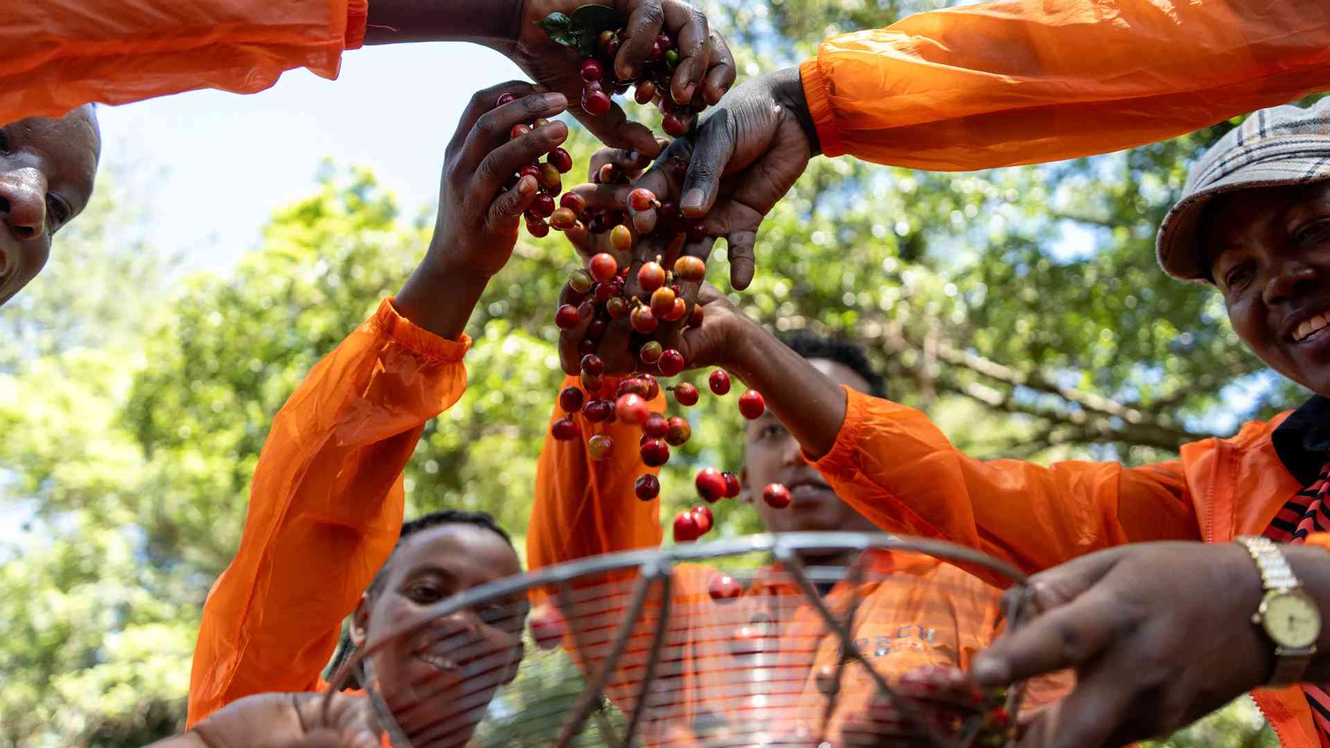 Torch Coffee team and partners building genuine connections