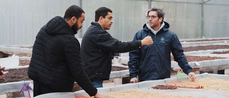 Instructors examining coffee with students