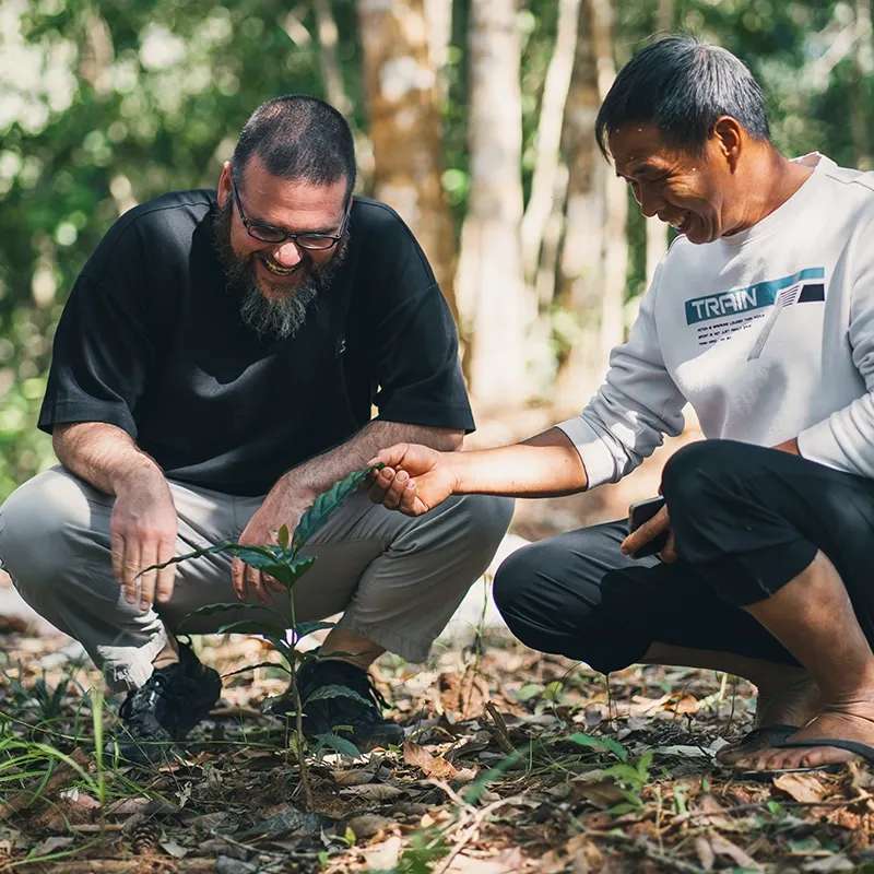 Two people examining coffee cherries at origin