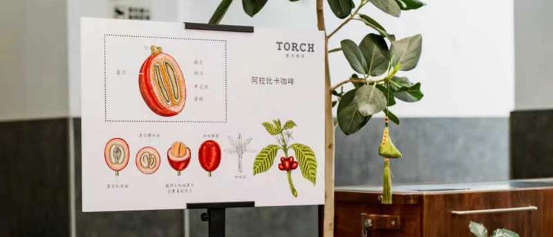 Coffee educational resources