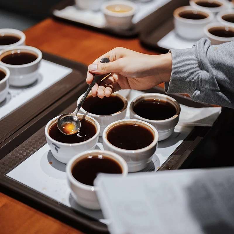 Coffee cupping session with students