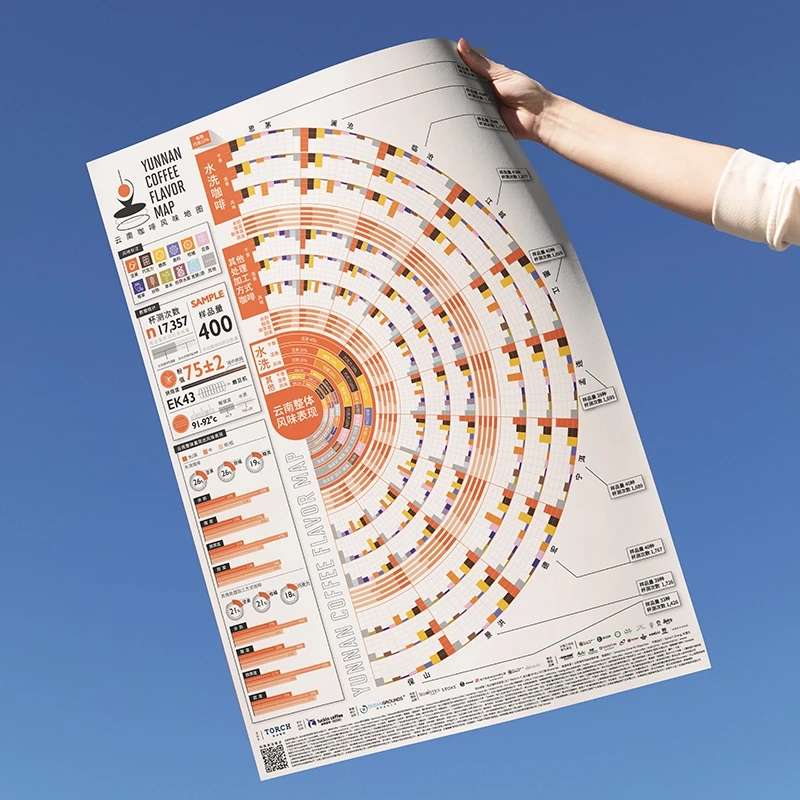 Hand holding coffee flavor wheel guide