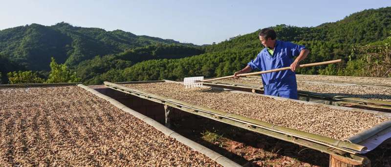 Coffee processing facility