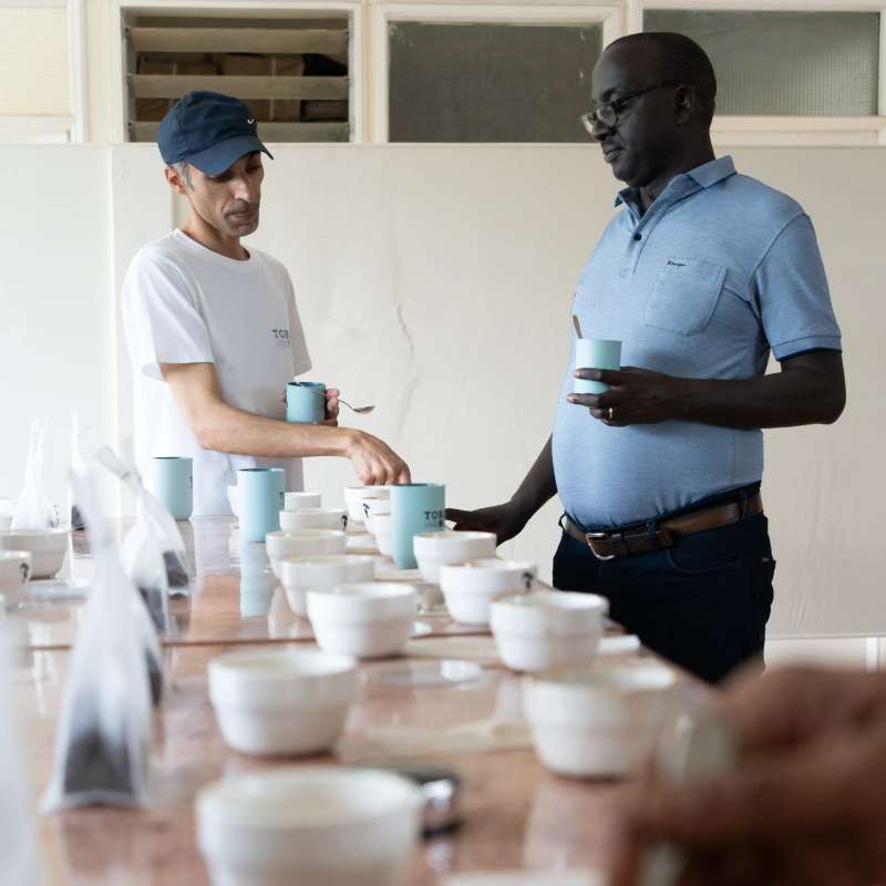 Torch Coffee Kenya operations
