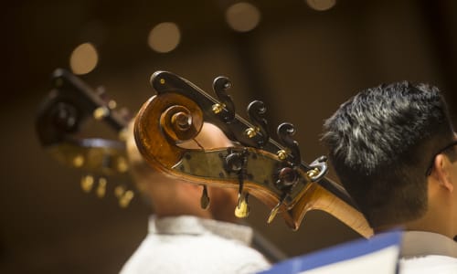 Close up for the headstock of two double basses as they are being played