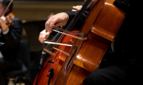 TSO cellos perform on stage at Roy Thomson Hall