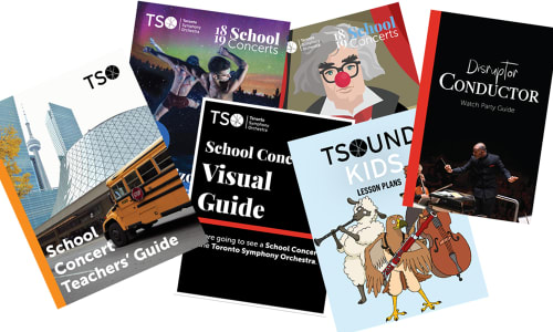 A collage of covers from the TSO's Teacher Resources