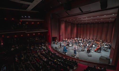 TSO Performing Reggae Roots at the Rose Brampton