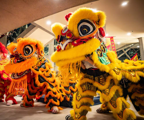 Year of the Goat: A Lunar New Year Celebration