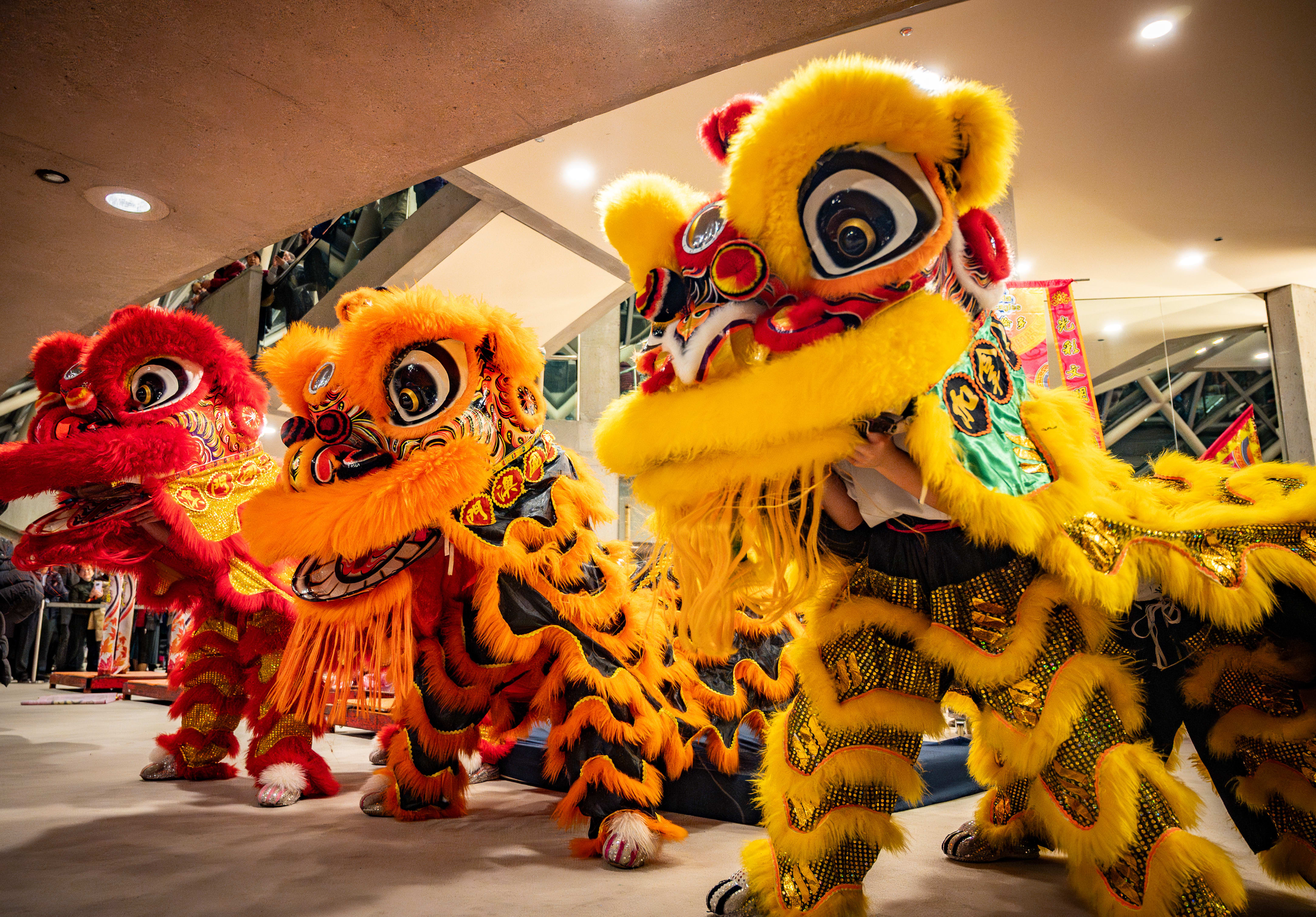 Year of the Goat: A Lunar New Year Celebration concert image
