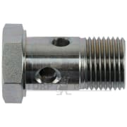 BANJOBOLT BSP 1/4" - 19 GJ