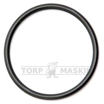 ORING F/LOKK(F3982651TM)
