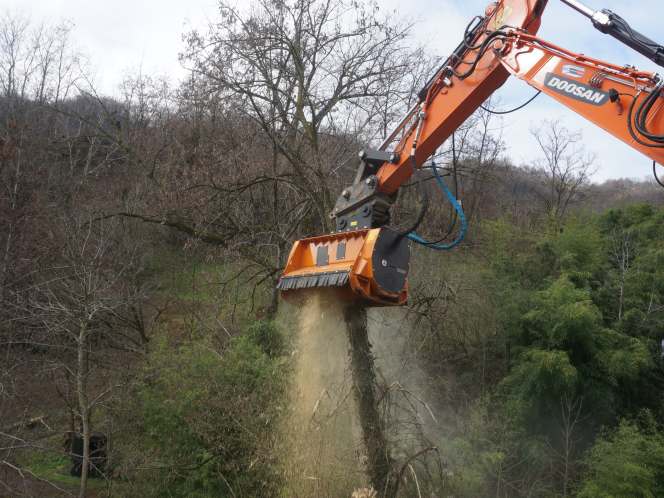 Beitepussere og krattknusere