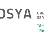 Organización Servicios y Asesorías S.A.S.