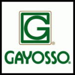 Gayosso corporativo
