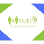Aseneg