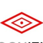 Cognitus Consulting