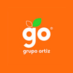 GRUPO ORTIZ MEXICO