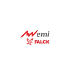 Grupo Emi