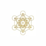Transfiguration Advisory