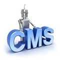 CMS Preparation Services