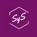 Desarrollo Profesional SyS
